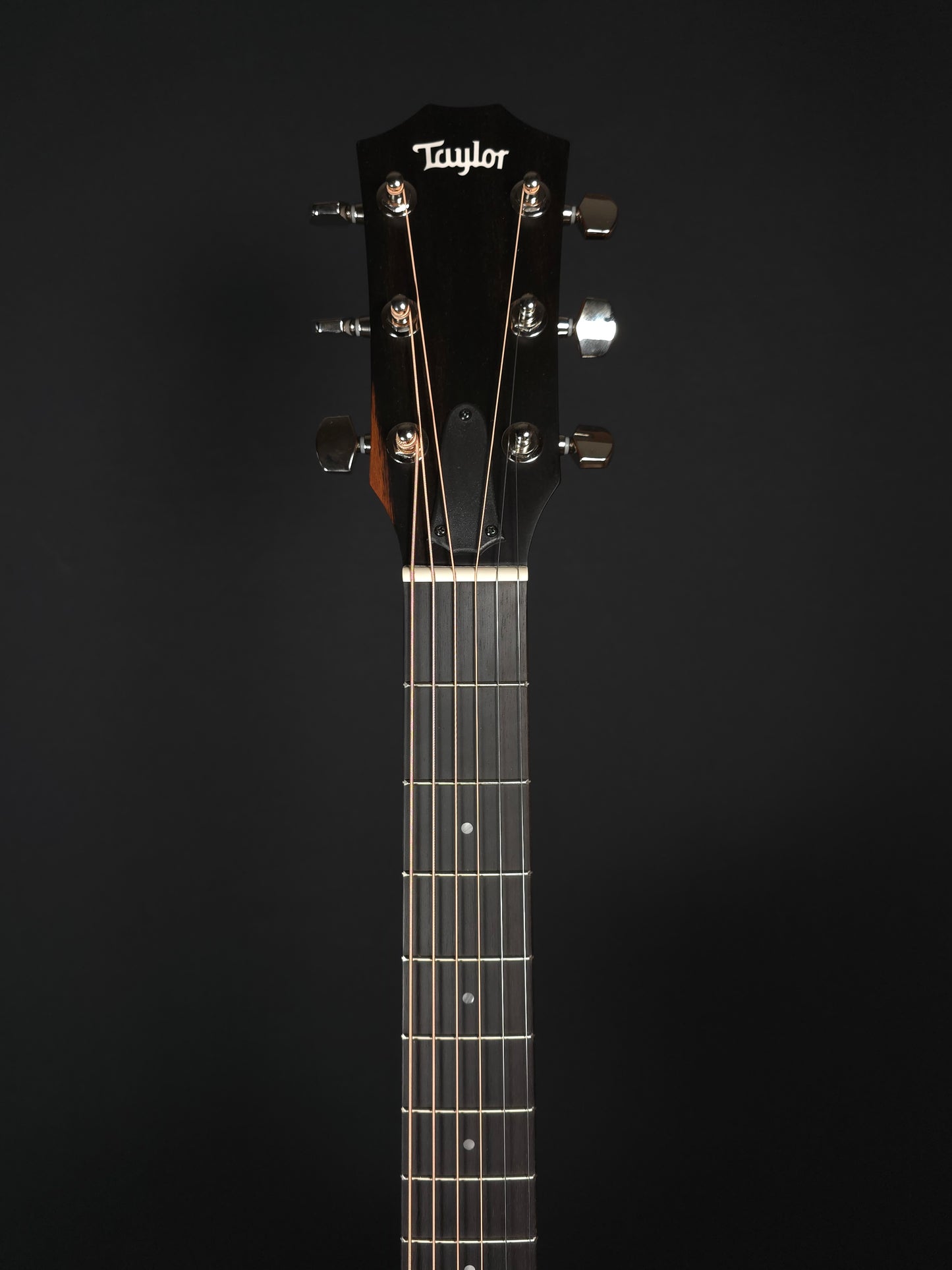 Taylor 314ce Studio Special Edition, Natural - NEW