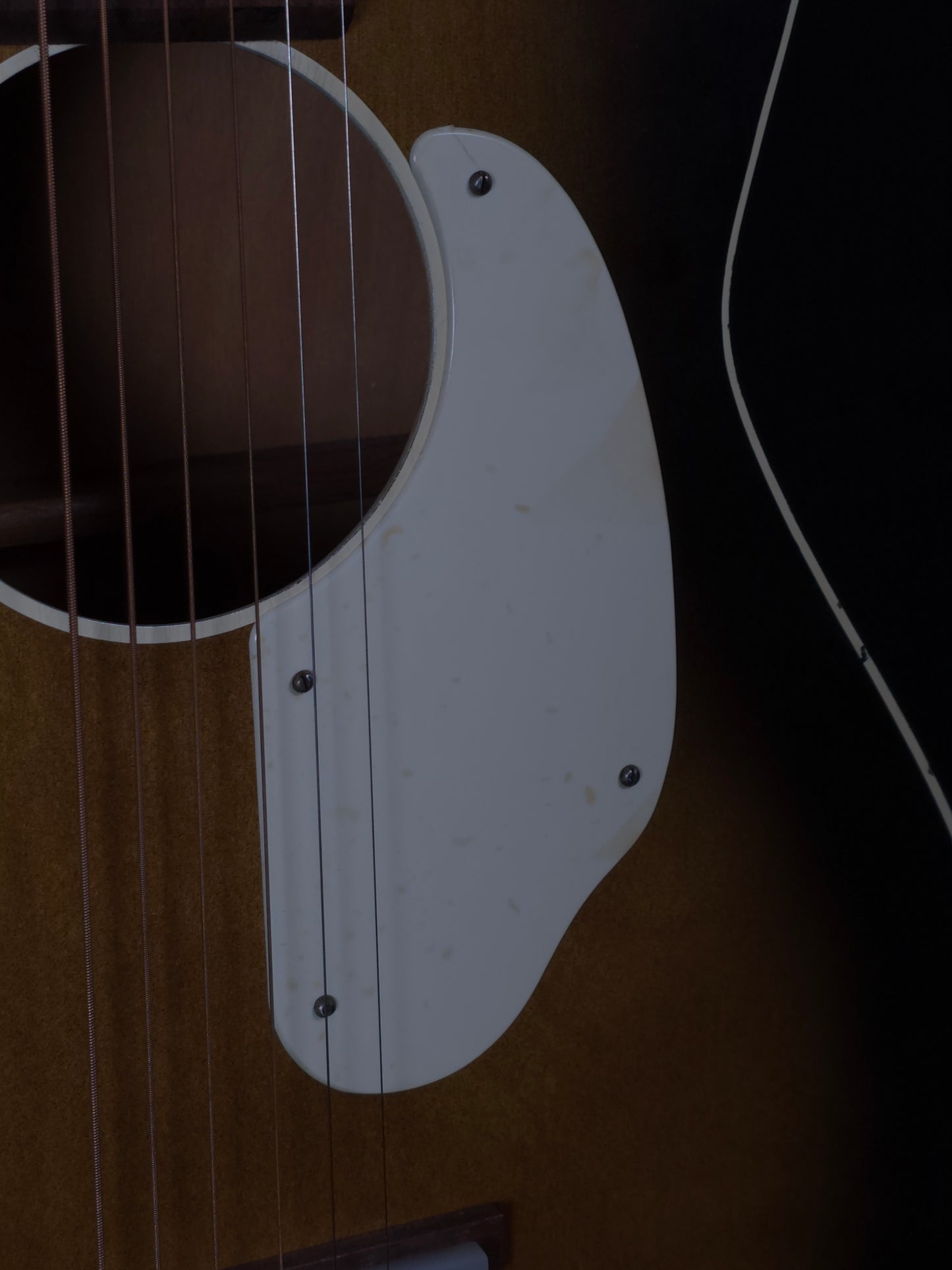 Fender F-1000 Acoustic