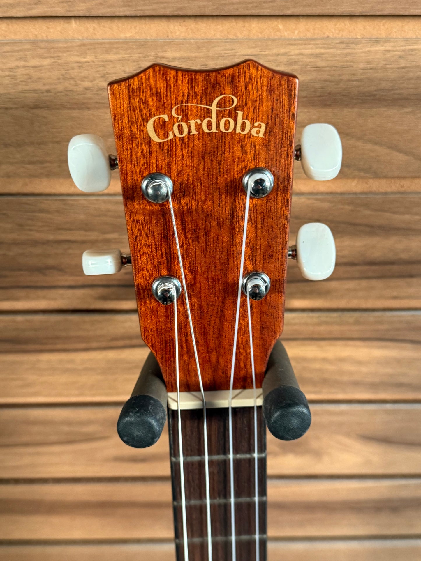 Cordoba 20BM Baritone Ukulele (NEW)