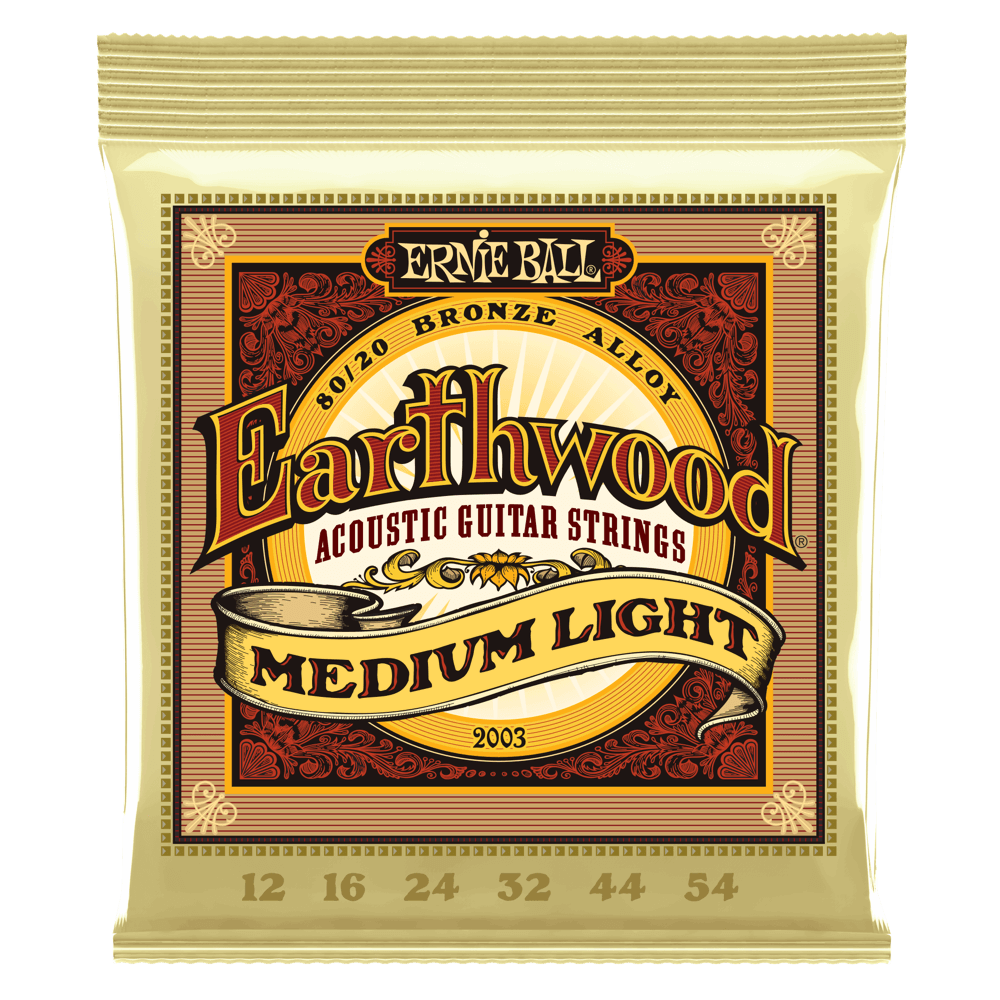 Ernie Ball EARTHWOOD 80/20 BRONZE ACOUSTIC GUITAR STRINGS - (2003) Medium Light 12-54