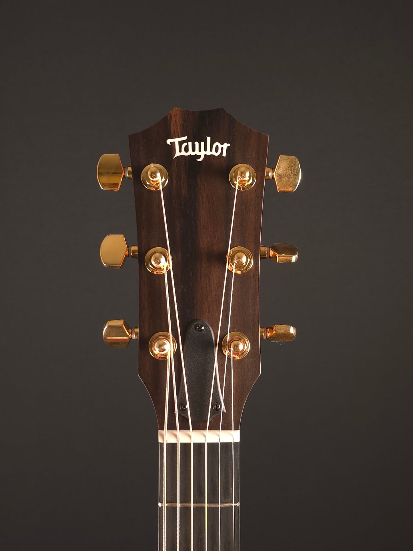 Taylor 224ce-K DLX