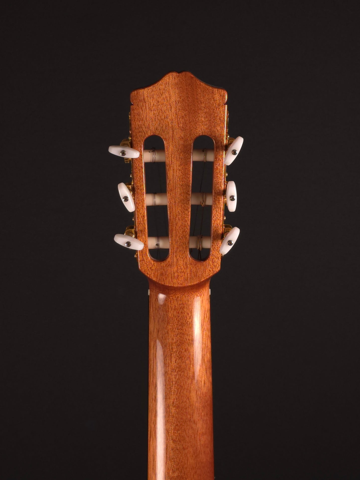 Cordoba C5 Classical Guitar