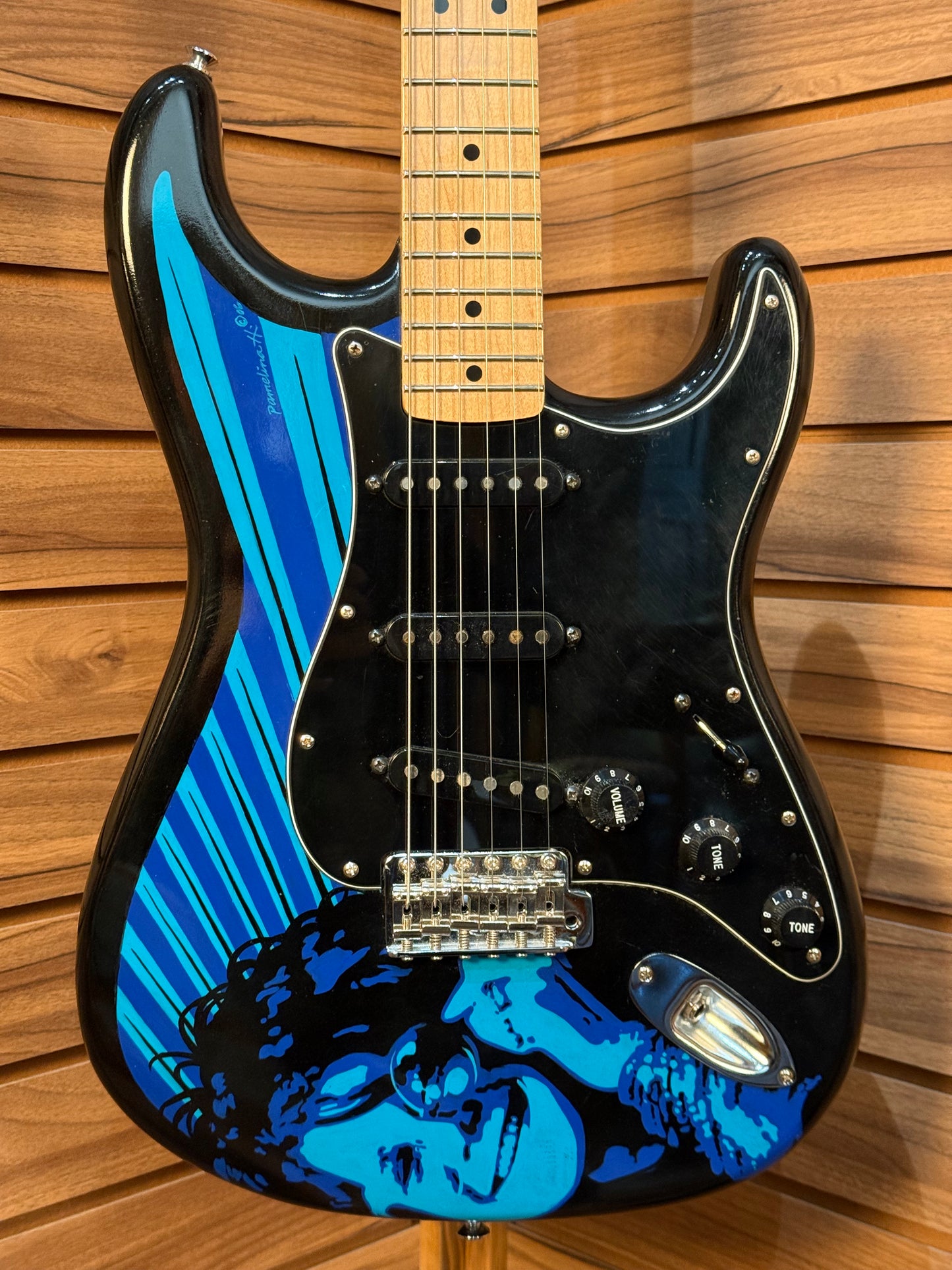 Chris Fleming / Fender "Pearl" Strat-Tele -  Hand Painted
