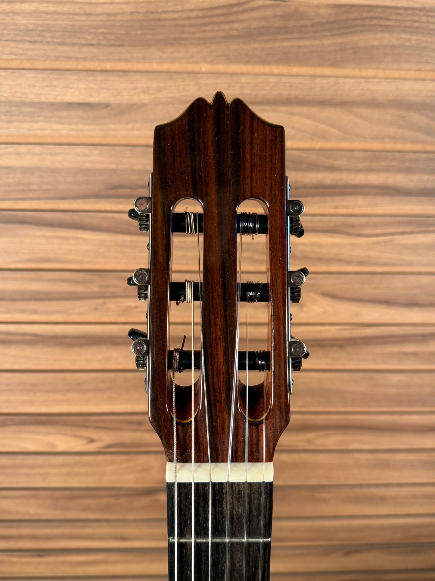 Juan Montes Rodriguez Cutaway Model 35