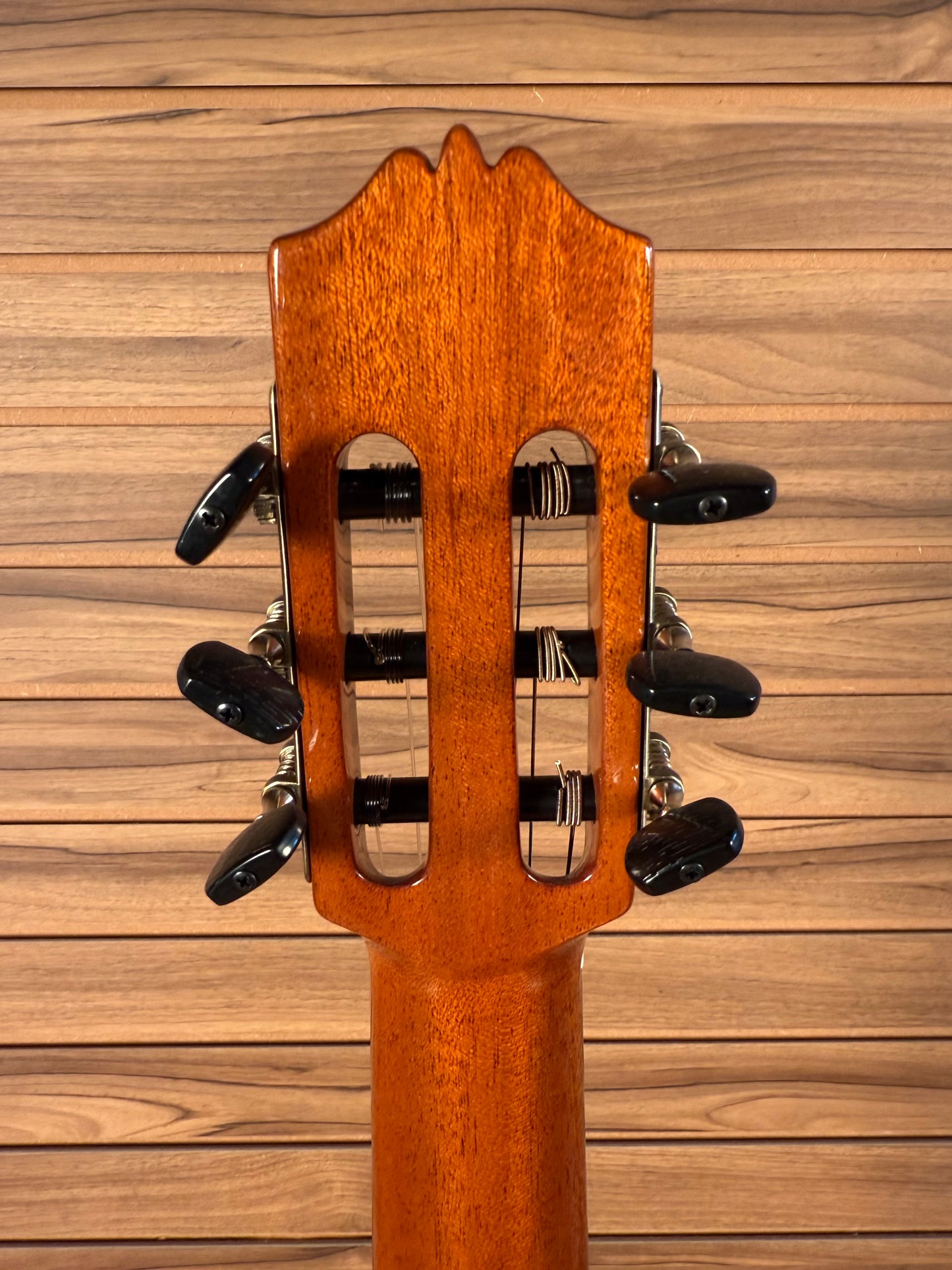 Juan Montes Rodriguez Cutaway Model 35