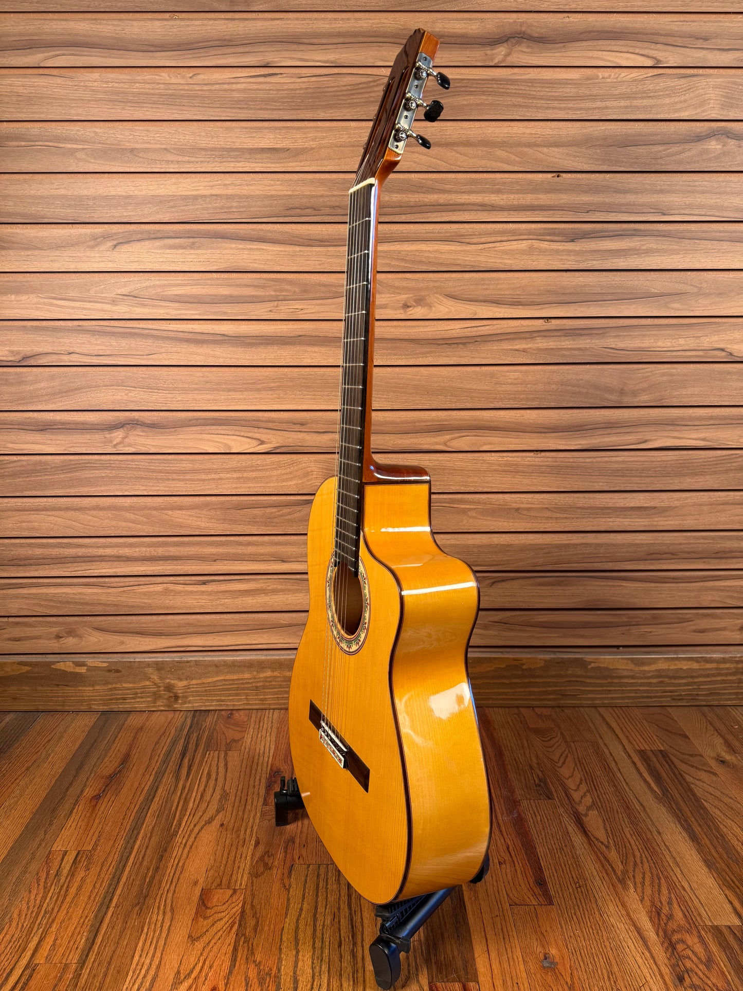 Juan Montes Rodriguez Cutaway Model 35