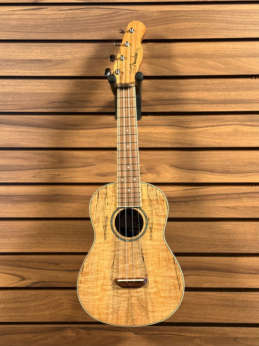 Fender Zuma Concert Ukulele - Spalted Maple (NEW)