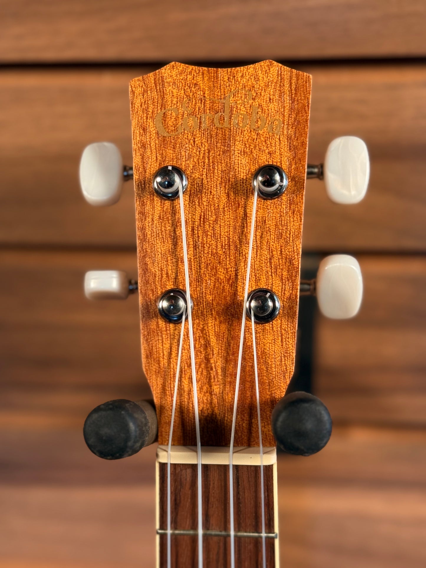 Cordoba 15CM Concert Ukulele (NEW)