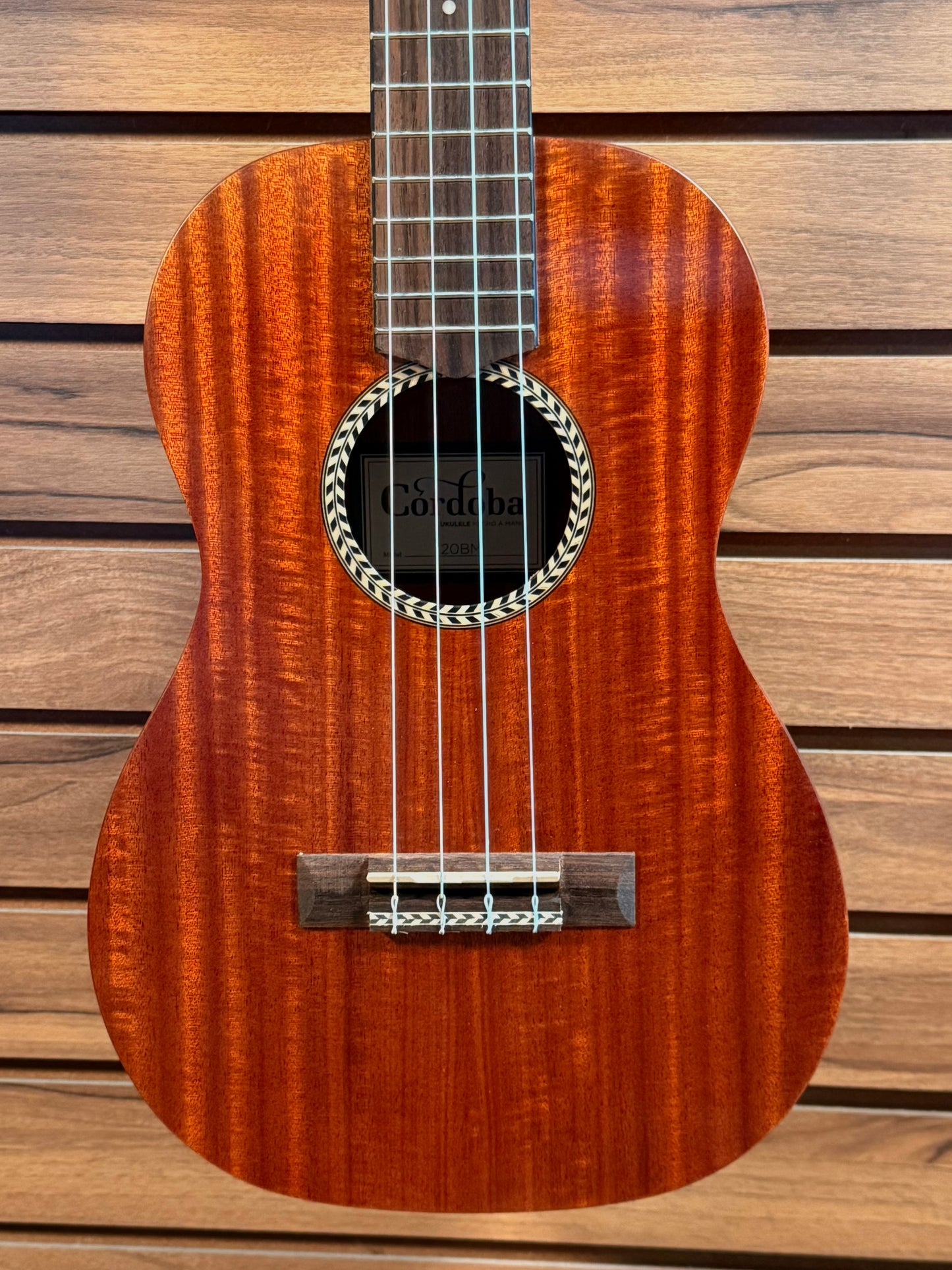 Cordoba 20BM Baritone Ukulele (NEW)
